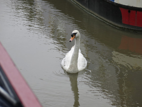 IMG 20240814 152523.jpg