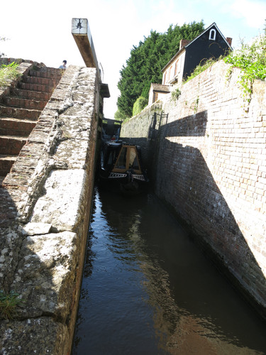 IMG 20240813 155218.jpg