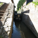 IMG 20240813 155218