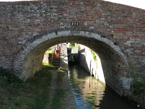 IMG 20240813 155203.jpg