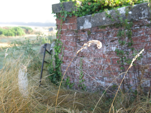 IMG 20240816 063325.jpg