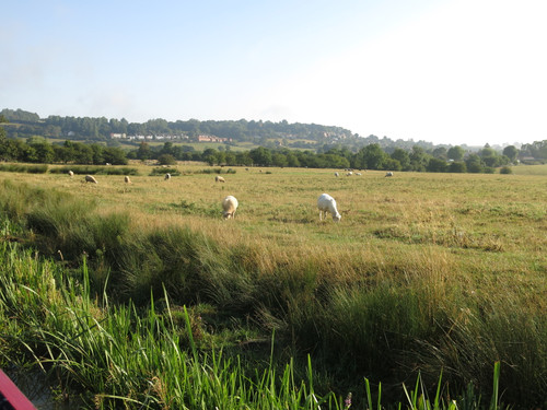 IMG 20240816 071302.jpg