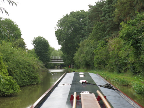 IMG 20240814 153156.jpg