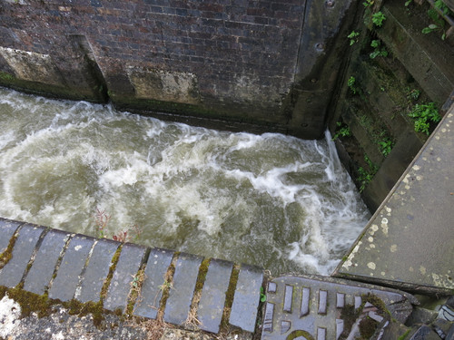 IMG 20240814 164644.jpg