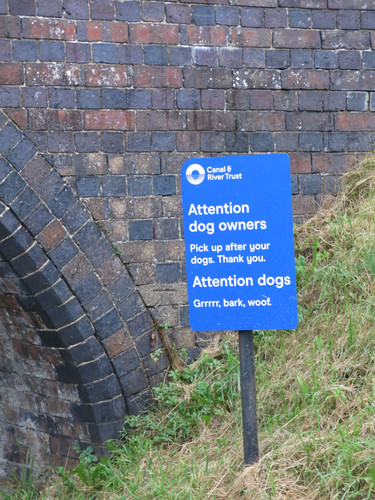 IMG 20240814 172901.jpg