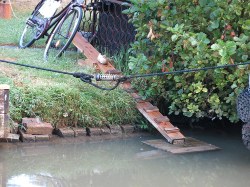 IMG 20240815 063228.jpg