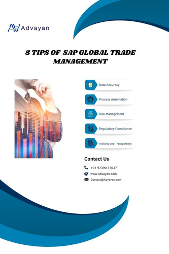 SAP Global Trade Management.jpg