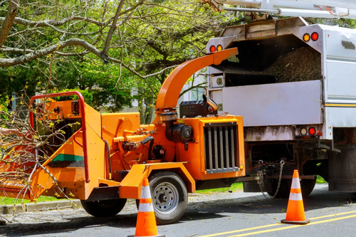 Trusted Tree Services in Sydney – Family-Owned Expertise with 10 Years of Experience.png