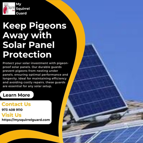 Keep Pigeons Away with Solar Panel Protection.jpg