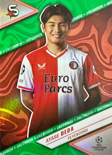 73.jpg