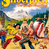 Silberpfeil 538