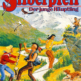 Silberpfeil 530