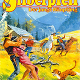 Silberpfeil 529