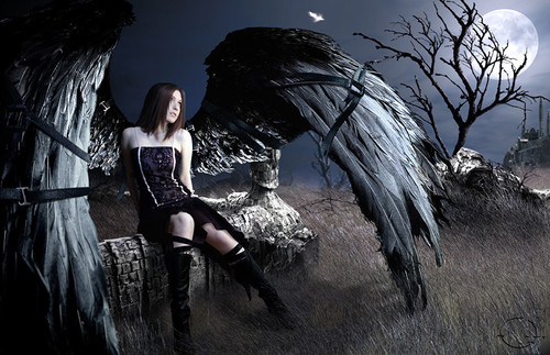 209369 aliya06.jpg