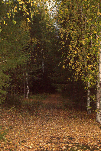 IMG 2348.jpg