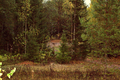 IMG 2346.jpg