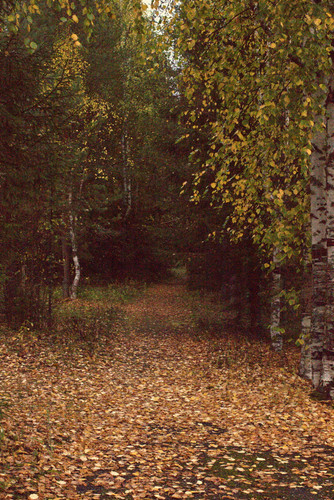 IMG 2347.jpg