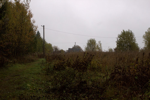 IMG 2323.jpg