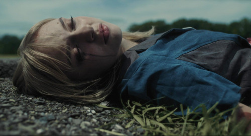 laststraw8web (5).jpg