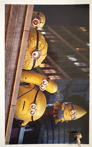 51.jpg