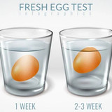 egg2403
