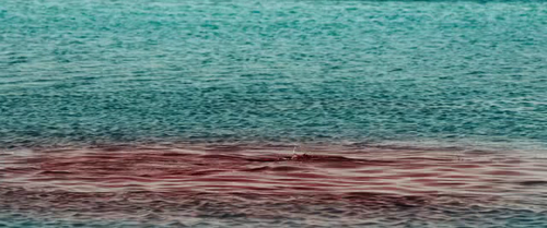 vlcsnap 2024 09 20 18h08m36s068.png