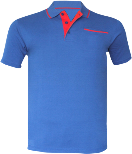 tshirt blue collar.png
