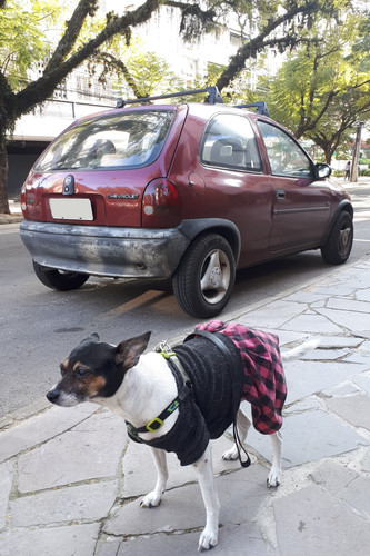 Chevrolet Corsa GL '95 '96 visto de trás e Vanessa.jpg