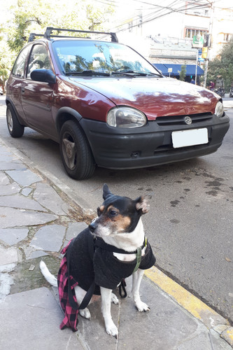 Chevrolet Corsa GL '95 '96 e Vanessa.jpg