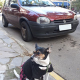Chevrolet Corsa GL '95 '96 e Vanessa