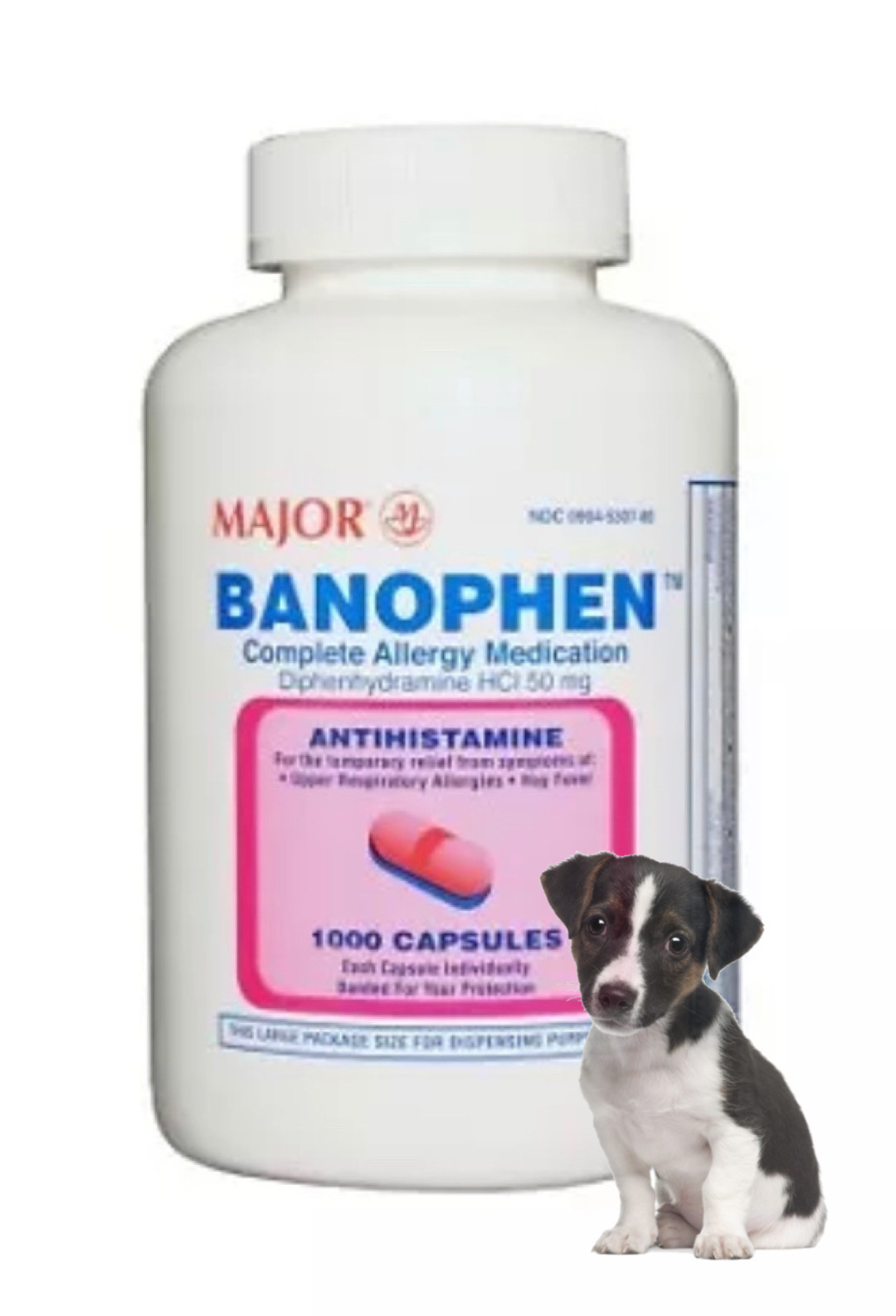 benadryl for dogs itching