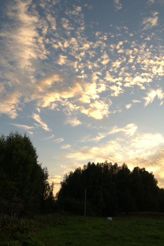 DSC 0003.jpg