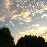 DSC 0003