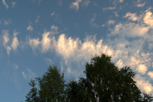 DSC 0010.jpg