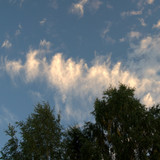 DSC 0010