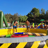 IMG 20240823 WA0028