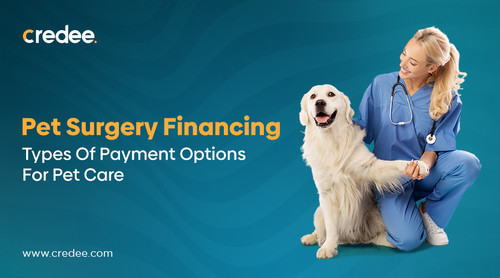 Pet Surgery Financing.jpg
