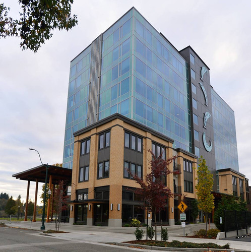 Olympia Chiropractor.jpg