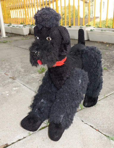 steiff pudel snobby 45 cm hoch 60er jahre ohne knopf im ohr