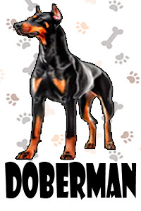 Doberman.jpg