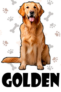Golden.jpg