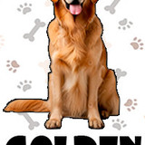 Golden