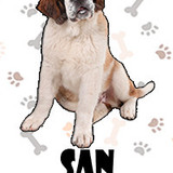 San Bernardo