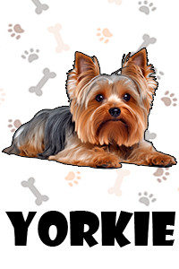 Yorkie.jpg