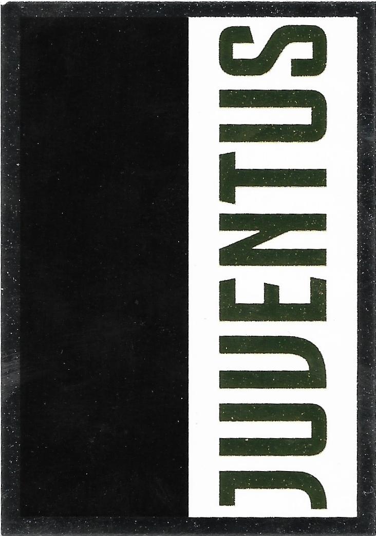 Juventus Europublishing 2020/21 - Scegli figurina 201-216 J1-J32 - Picture 42 of 49