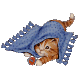 9d1105d9dae54579aed5618cf73060f2e60a6a97