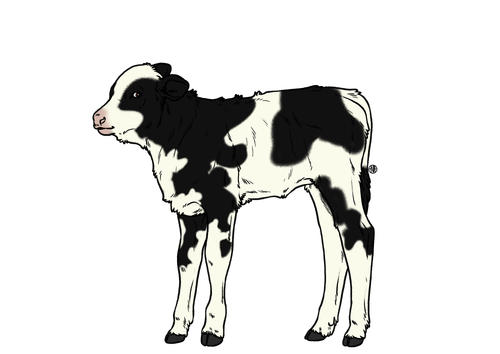 Untitled427 20240526231642.png