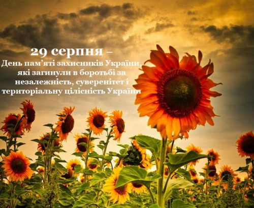 5f49124beec64819370058.jpg