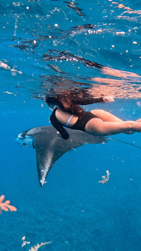 asian755Annie Lee @ anniebaby .