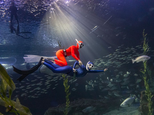 asian756 fun diving at Jeju Aquarium, you can take great photos of your life~~ If you have fun divin